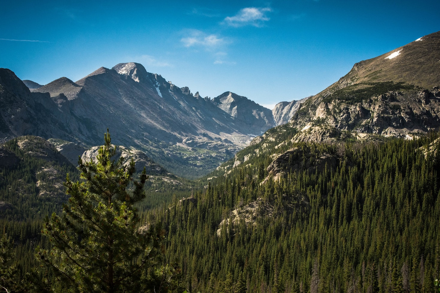 Community Stories: Why We Love Black Forest